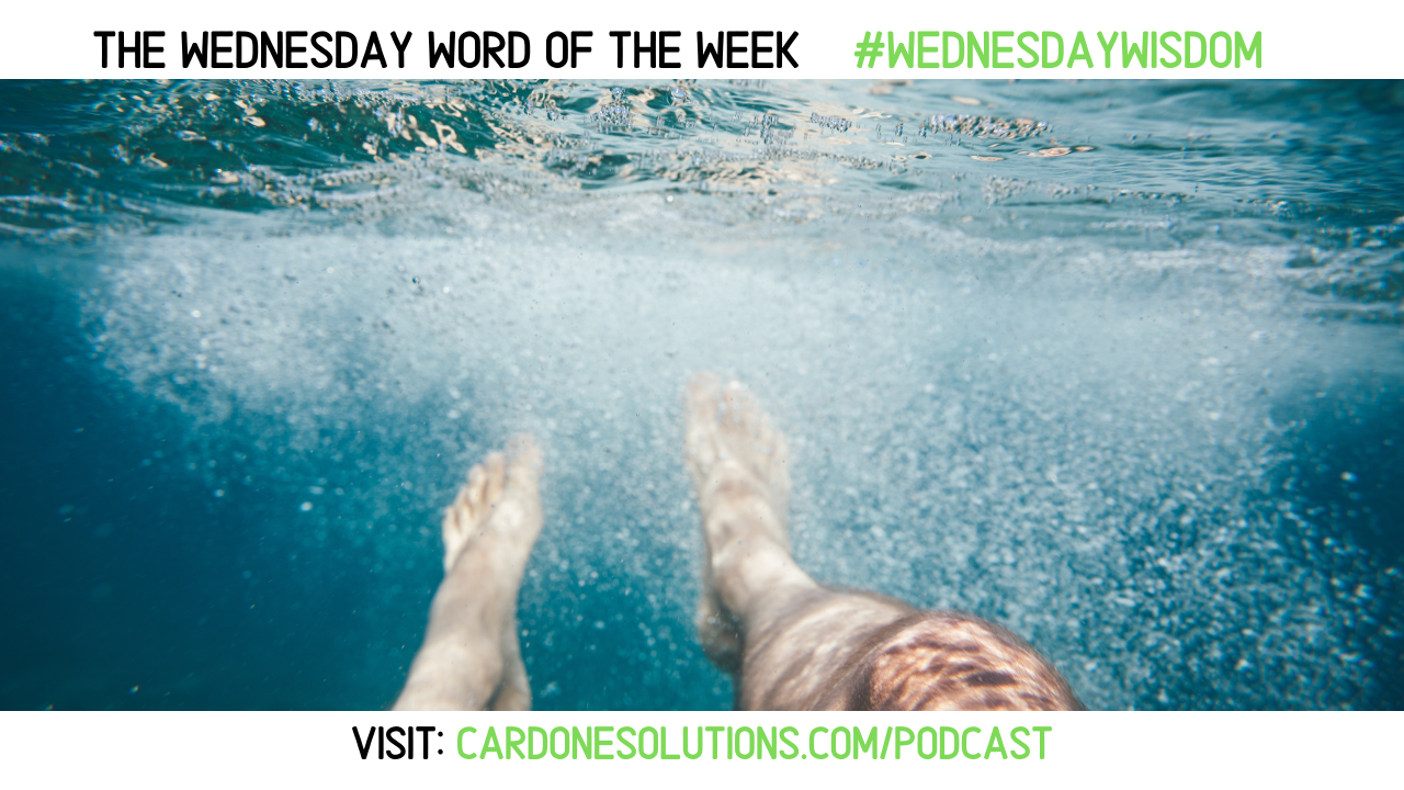 IMMERSE The Wednesday Word WednesdayWisdom Cardone Solutions