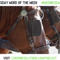 IGNORANCE:  The Wednesday Word